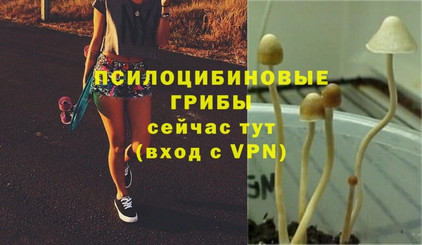 каннабис Магас